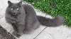 Ananda_2013_thumb.jpg