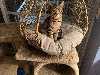 Lea_20250301_6_thumb.jpg