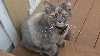 Neti_2013_2_thumb.jpg