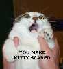 1117252097255_thumb.jpg