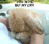 1117252147469_thumb.jpg
