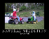 AWO6DNZAHNLSM6OAK45ZOSJ7CGF6GAKO_thumb.png