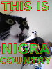 nigra_country_thumb.png