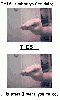 stfu_thumb.gif