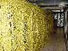 yellow_wall_thumb.jpg