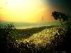 home_land_1600_thumb.jpg
