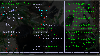 irclog-interactive-development-4_thumb.png