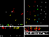 netrek-paradise_thumb.png