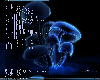 wp_thumb.png